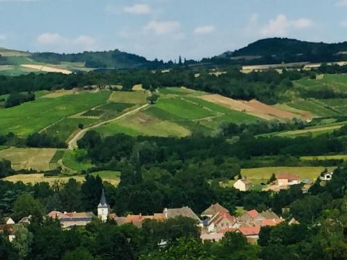 Les Vignes de Paris