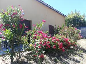 Maison de vacances Les Vignes LE MALVEYREIN 24240 Pomport Aquitaine