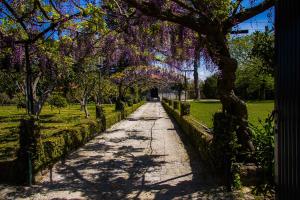 Liiiving in Ofir | Manor Pool House