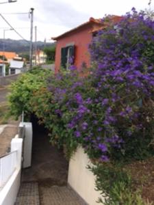 Maison de vacances Little Norway in Madeira Estrada Regional 222 - 440 9370-015 Arco da Calheta Madère