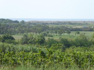 Location au calme vue sur le canal du midi et la mer
