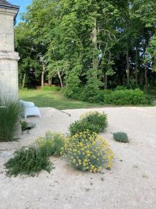 Location chez Hélène et Seb au cœur de la Touraine