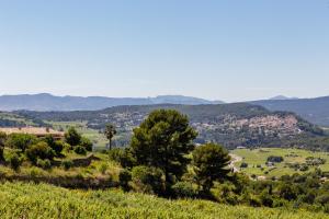 Lodge de charme 135m2 avec piscine dans les vignes AOC Bandol à 15 min des plages et du circuit Paul Ricard F1