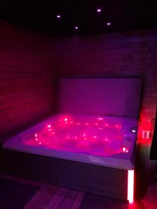 Loft avec spa (38°) et piscine (30°)