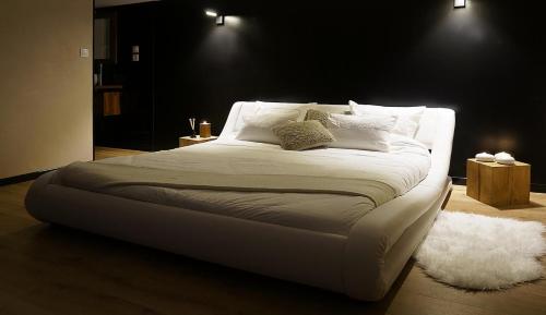 Loft avec SPA privatif - Futuroscope