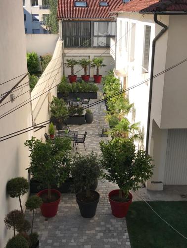 Logement haut de gamme jacuzzi sauna