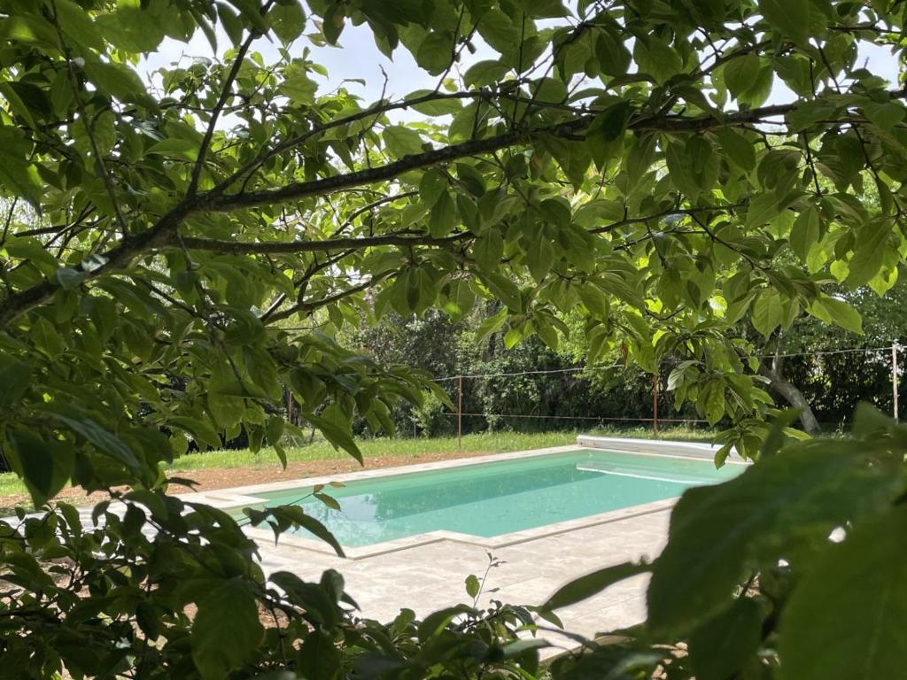 Logement indépendant avec piscine couverte