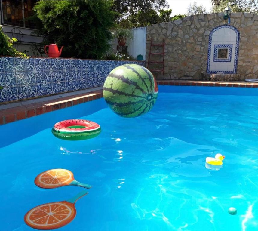 Lovely hide out with pool Rua Sao José 24, 2300-180 Pero Calvo