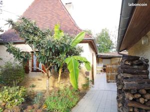 Luxury caravan for six people - private swimming pool