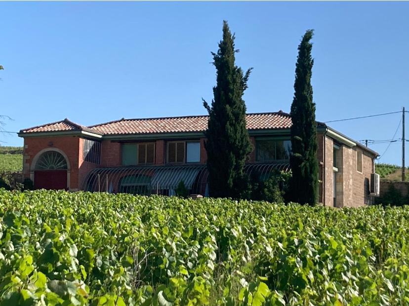 Magnifique villa à l'intérieur d'un clos 60 Route des Garants, 69820 Fleurie