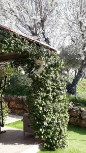 Maison 2/4pers : jardin piscine. LES AMANDIERS