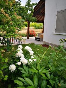 Maison 3 étoiles avec jardin pour familles, sportifs, curistes...