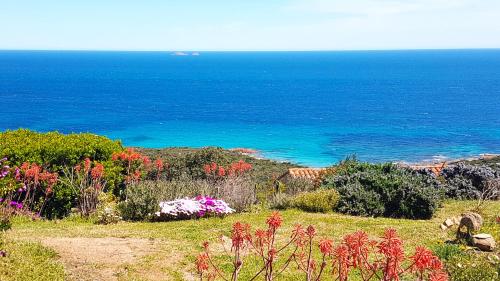 Maison 4 pièces, vue panoramique, piscine, climatisation, près de Palombaggia