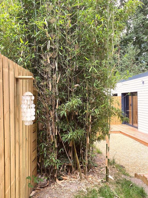maison 5 personnes au calme avec jardin et piscine