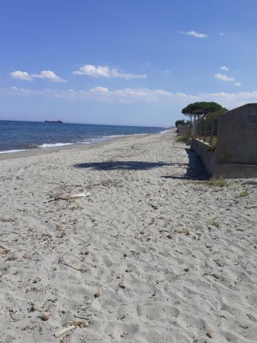 Maison à 200m de la mer, 10 mn de l'aéroport de Bastia avec sur place un Snack avec accès piscine gratuit pour la clientèle
