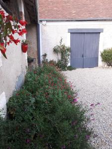 Maison à la Campagne