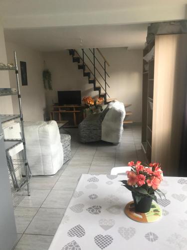 Maison à Orléans avec jardin