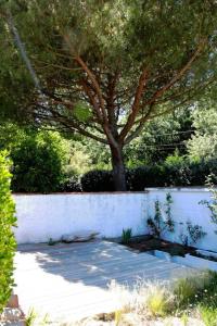 Maison accès direct plage sur l'île d'Oléron