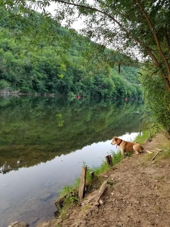 Maison agreable près des vignes et de la rivière 368 Route de l'écluse, 46220 Pescadoires