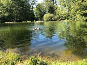Maison au bord de l’eau d’un céramiste