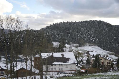 Maison au calme sur les hauteurs de Gerardmer