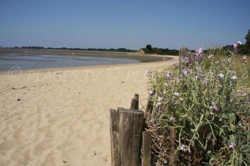 Maison avec jardin clos à 300 m de la grande plage de Pont-Mahé