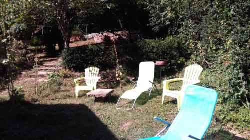 maison avec jardin