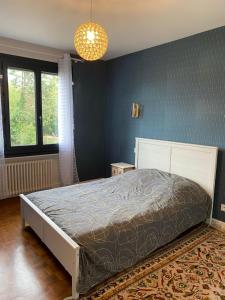 Maison avec piscine