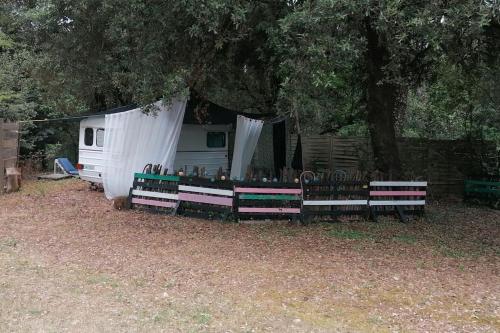 Maison bohème en pleine forêt// Dolly Waikiki