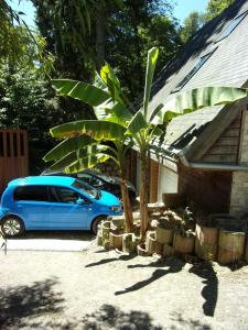 Maison Bois \