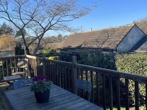 Maison Cabourg, 3 pièces, 5 personnes - FR-1-487-238
