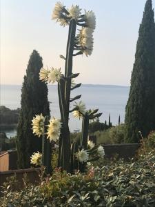 Maison calme très belle vue Lavandou