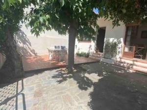 Maison Canet-en-Roussillon, 3 pièces, 6 personnes - FR-1-696-28