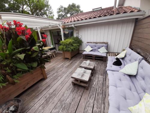 Maison Capbreton, 3 pièces, 6 personnes - FR-1-239-567