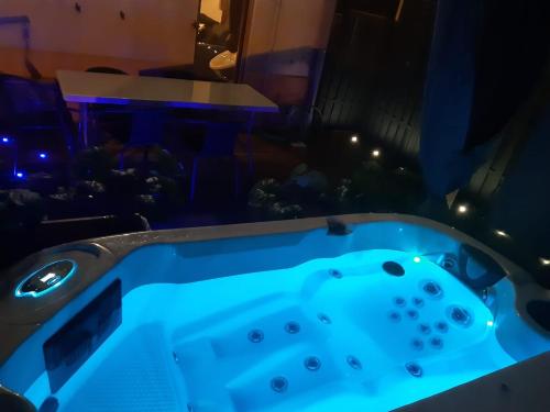 Maison centre ville Colmar Jacuzzi Jardin