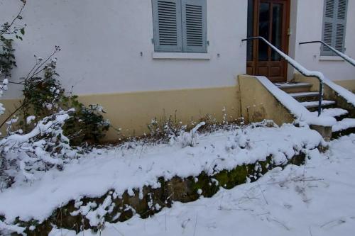 Maison chien assis