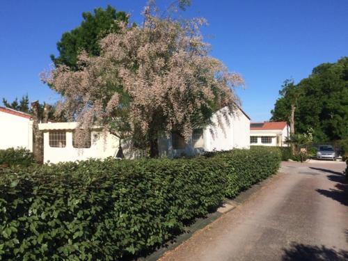 maison climatisée avec piscine