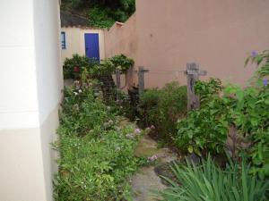 Maison Collioure, 4 pièces, 6 personnes - FR-1-225-684