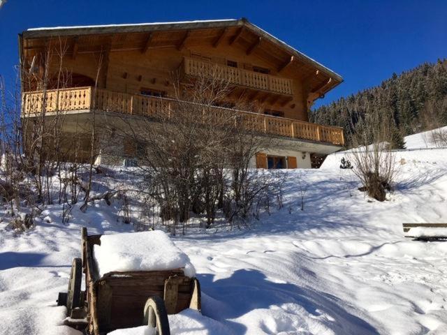 Maison cosy