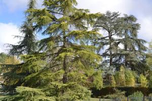 Maison cosy tout confort dans un cadre de verdure