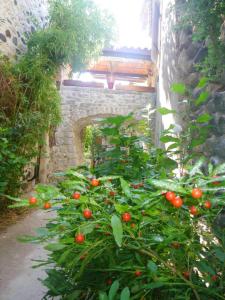 Maison d'une chambre avec jardin amenage et wifi a Saint Germain