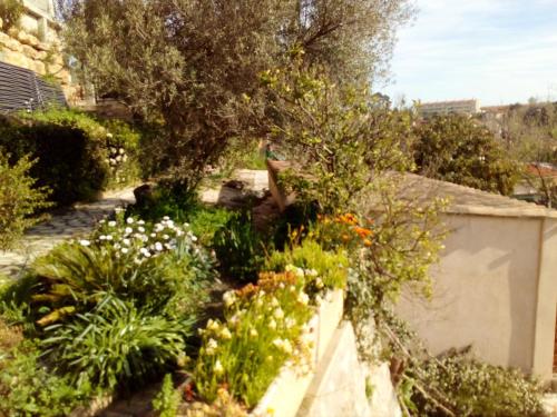 Maison de 2 chambres avec jardin clos et wifi a Toulon a 4 km de la plage