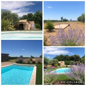 Maison de vacances Maison de 2 chambres avec piscine privee jardin clos et wifi a Modene 862 Route de Mazan 84330 Modène Provence-Alpes-Côte d\'Azur