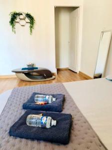 Maison de 2 chambres avec wifi a Lille