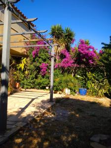 Maison de vacances Maison de 3 chambres avec vue sur la mer jardin clos et wifi a Hyeres 264 Chemin de la Plaine de Bouisson 83400 Hyères Provence-Alpes-Côte d\'Azur