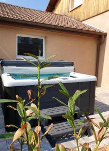 Maison de 4 chambres avec jacuzzi jardin clos et wifi a Gerardmer