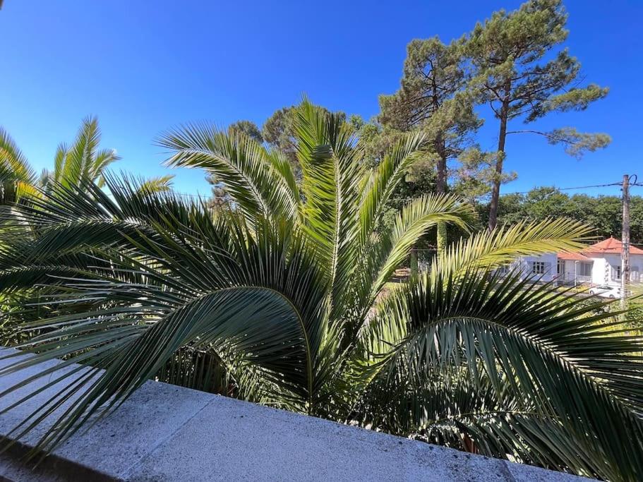 Maison de 6 chambres avec jardin clos et wifi a Matignon a 7 km de la plageEL