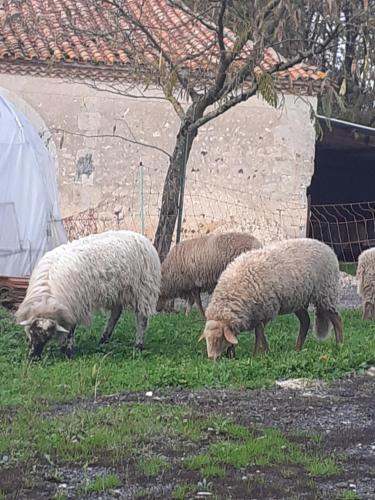 Maison de campagne à la ferme