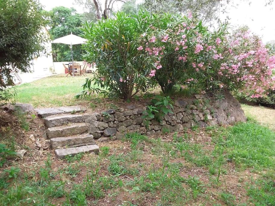 maison de campagne à proximité des plages 30 Chemin du Finosello, 20090 Ajaccio