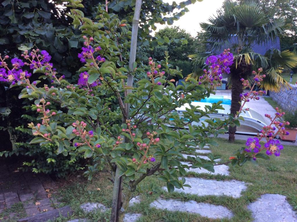 MAISON DE CAMPAGNE HAUT-ALLIER (43) 43300 Vergues